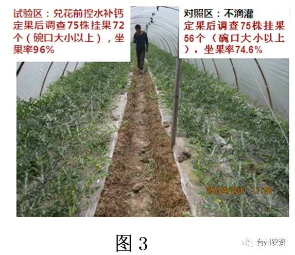 臺州農資 臺州農資