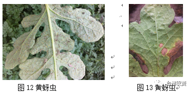 臺州農資 臺州農資