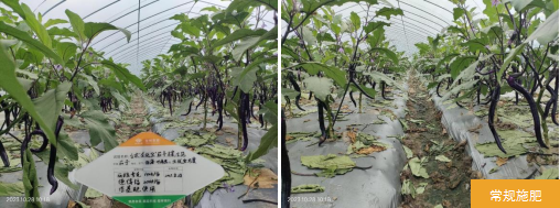 臺州農(nóng)資 臺州農(nóng)資